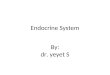Patofisiologi  Endocrine System