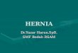 Hernia Omphalocele,Gastroschisis