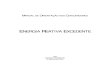 Manual de Orientação - Energia Reativa Excedente.pdf