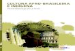 Cultura Afro-Brasileira E Indígena