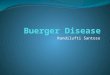 Buerger Diseases