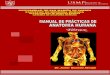 Manual de Practica de Anatomia - Torax Final
