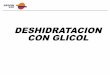 38109954 Deshidratacion Con Glicol