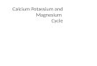 Potassium, Calcium and Magnesium