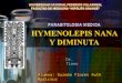 Hymenolepis Nana y Diminuta
