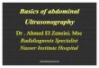 Basics of Abdominal Ultrasonography