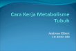 Cara Kerja Metabolisme Tubuh Blok 11