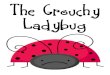 Grouchy Ladybug Complete