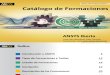 Catalogo Formaciones ANSYS 2014 (1)