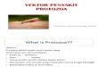 Vektor Penyakit Protozoa