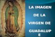 Protocolo de La Virgen de Guadalupe(1)