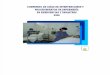 Compendio de Guias de Intervenciones y Procedimientos de Enfermeria en Emergencias y Desastres 2006-Minsa