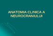 Anatomia Clinica a Neurocraniului