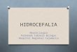 Hidrocefalia Clase 2011