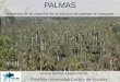 14 Diversidad genética de Palmas - Romer Montufar PUCE