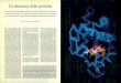 La dinamica delle proteine - di Martin Karplus e J. Andrew McCammon