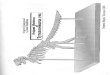 95184707 Skeleton of Tyrannosaurus Rex Origami Issei Yoshino