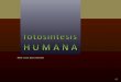 11-Fotosíntesis Humana [cr]