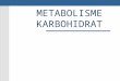 Metabolisme Karbohidrat 2