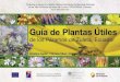 Guia Plantas 091128