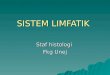Sistem Lim Fatik