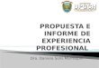 Informe de Experiencia Profesional