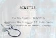 Kuliah Rinitis + Sinusitis-2008 Riz