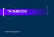 Trombosis I