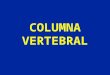 1- Columna Vertebral - Generalidades
