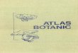 Atlas Botanic - Lucia Popovici