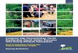 Integrasi Hak Pemanfaatan Tanah Masyarakat Dayak dalam Rencana Tata Ruang Wilayah Kabupaten. Studi di Kabupaten Gunung Mas Propinsi Kalimantan Tengah
