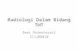 Radiologi Dalam Bidang THT.pptx
