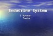Endocrine Sytem.ppt