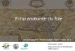 2013m1-Echo Anatomie Du Foie (1)