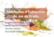 Extraction de Jus de Fruits