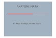 Opthalmologi (Anatomi&Fisiologi Mata).pdf