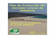 Alegaciones al Plan de Protección del Corredor Litoral de Andalucía