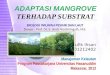 Adaptasi Substrat Mangrove.pptx