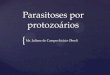 Parasitoses por protozoários
