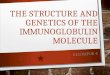 The Structure and Genetics of the Immunoglobulin Molecule 2.ppt