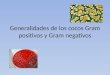 Generalidades de Los Cocos Gram Positivos y Gram