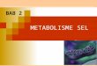 2. Bab. 2 Metabolisme