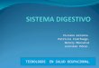 Diapositivas Del Sistema Digestivo