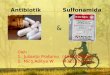 Antibiotik Sulfonamida