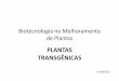 Biotecnologia no Melhoramento de Plantas_Plantas transgênicas
