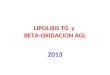 Lipolisis y Beta Oxidacion Agl 19-08-13 Fff