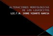 Alteraciones Morfologicas de Los Leucocitos