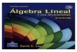 Algebra Lineal y sus Aplicaciones, 3ra Edición - David C. Lay