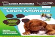 Catalogue Cours Animalia