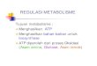 Regulasi Metabolisme